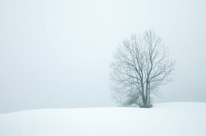 Veebruari uudiste ülevaade